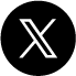公式X